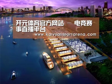 案例展示八
