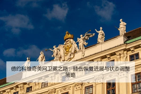 德约科维奇美网卫冕之路：膝伤恢复进展与状态调整策略