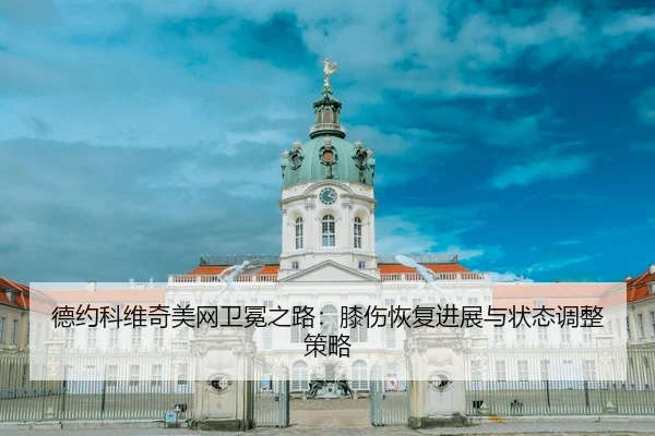 de-yue-ke-wei-qi-mei-wang-wei-mian-zhi-lu-xi-shang-hui-fu-jin-zhan-yu-zhuang-tai-tiao-zheng-ce-lve-3-960.jpg