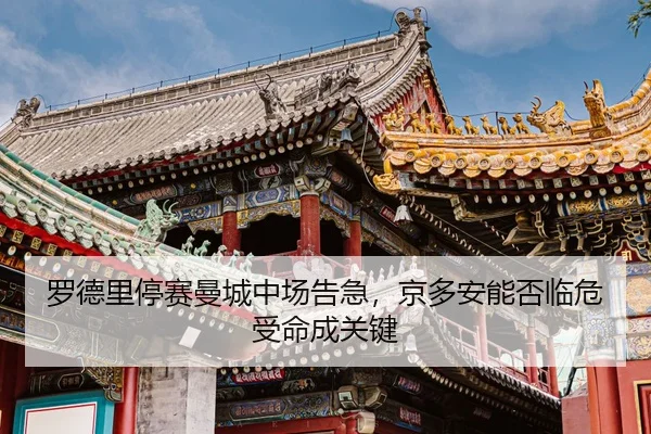 luo-de-li-ting-sai-man-cheng-zhong-chang-gao-ji-jing-duo-an-neng-fou-lin-wei-shou-ming-cheng-guan-jian-2-210.jpg