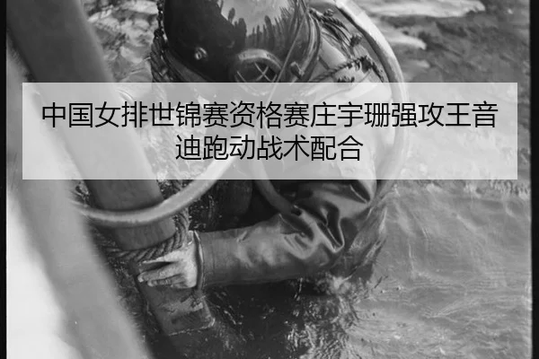 中国女排世锦赛资格赛庄宇珊强攻王音迪跑动战术配合