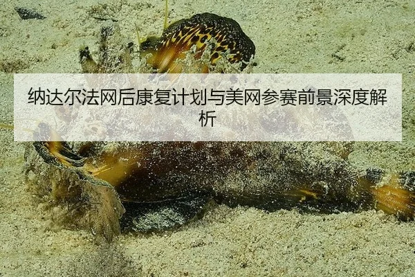 纳达尔法网后康复计划与美网参赛前景深度解析