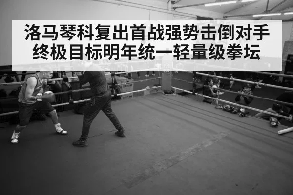 boxer training gym