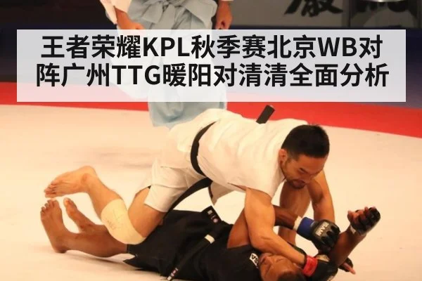 王者荣耀KPL秋季赛北京WB对阵广州TTG暖阳对清清全面分析